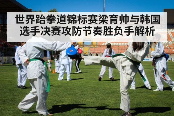 taekwondo competition kick